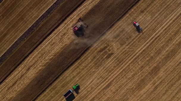 Sonnenuntergang und arbeitende Erntemaschinen Mähdrescher und Traktoren im Weizenfeld. Landwirtschaftskonzept, Video — Stockvideo