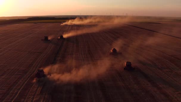 Sunset a pracovní sklizeň stroje, kombajny a traktory v pšeničné pole. Zemědělství koncepce, Video — Stock video