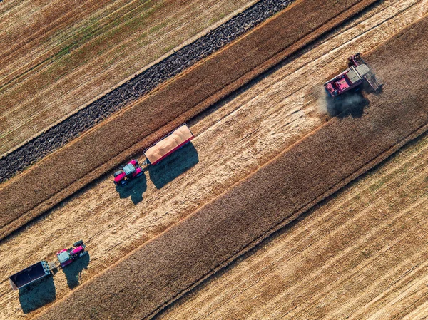 Luftaufnahme eines Mähdreschers auf einem Erntefeld — Stockfoto