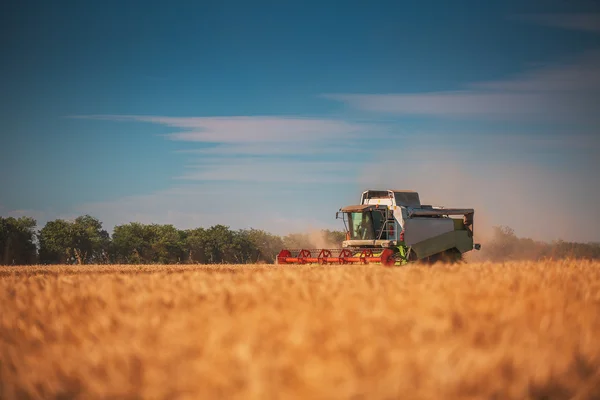 Combineren van harvester landbouw machine gouden rijp whe oogsten — Stockfoto