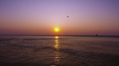 Dalgalar ve güzel deniz gündoğumu, video üzerinde uçan kuş