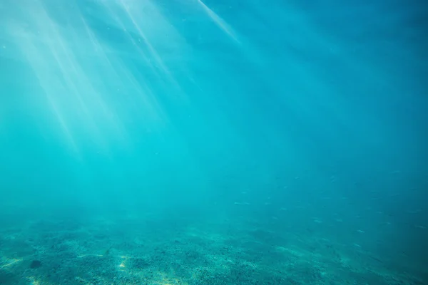 Tiro subaquático com raios solares e peixes em mar tropical profundo — Fotografia de Stock