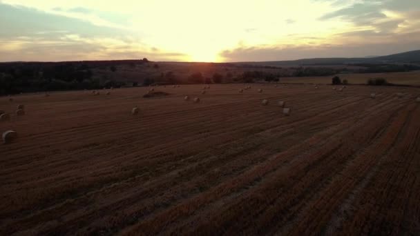 Vue aérienne sur le champ de blé avec balles de foin — Video