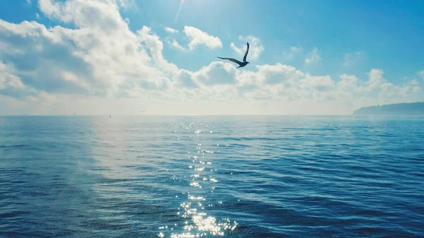 Gyönyörű Napfelkelte Kilátás Óceánhullámok Repülő Sirály Madár Légi Felvétel — Stock Fotó