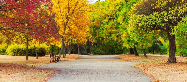 Красивые Деревья Осеннего Цвета Осенний Пейзаж Городском Парке — стоковое фото