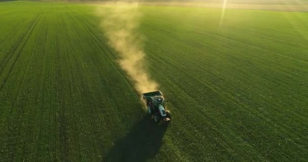 Farmer Tractor Fertilizing Wheat Field Aerial Video — Stock Video