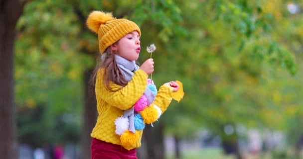 Mała Dziewczynka Bawiąca Się Świeżym Powietrzu Jesiennym Parku Dmuchająca Mniszka — Wideo stockowe