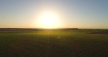 Traktördeki çiftçi buğday tarlasını gübreledi, hava görüntüsü 4k