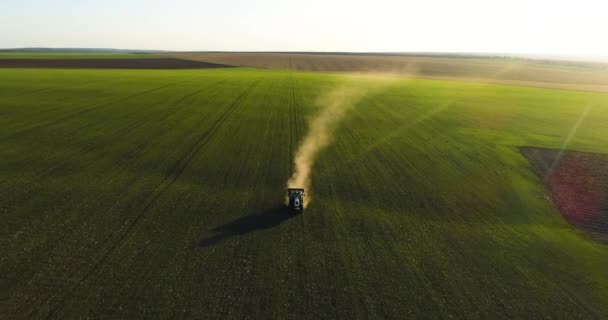 Farmer Tractor Fertilizing Wheat Field Aerial View Video — Stock Video