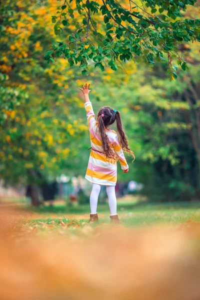 太陽の公園で紅葉と遊んでいる小さな笑顔の女の子 — ストック写真