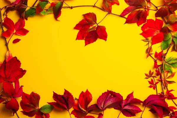 Осенние Сезонные Листья Рамкой Пространством Текста Осенний Фон — стоковое фото
