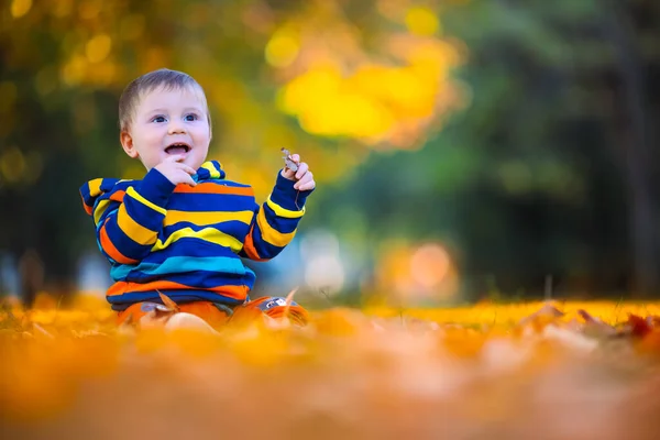 Netter Kleiner Junge Spielt Herbstpark Mit Umgefallenen Blättern — Stockfoto