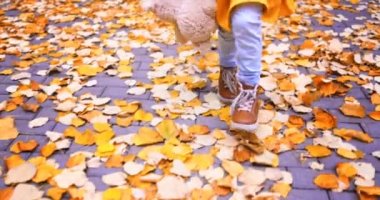 Mutlu küçük kız oynuyor ve oyuncak ayısı sonbahar parkında