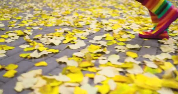 Ευτυχισμένο Κοριτσάκι Που Παίζει Πεσμένα Φύλλα Χρώματος Στο Φθινοπωρινό Πάρκο — Αρχείο Βίντεο