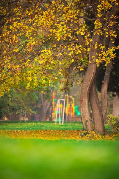 Herbstlandschaft Stadtpark — Stockfoto