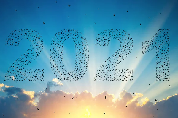 2021 Szczęśliwego Nowego Roku Sylwetka Latających Ptaków Zachodzie Słońca — Zdjęcie stockowe