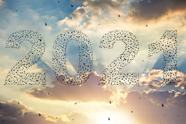 2021 Szczęśliwego Nowego Roku Sylwetka Latających Ptaków Zachodzie Słońca — Zdjęcie stockowe