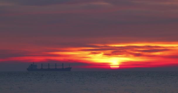 Sea Sunrise Burning Sky Flying Birds Sailing Cargo Ship Video — Stock Video