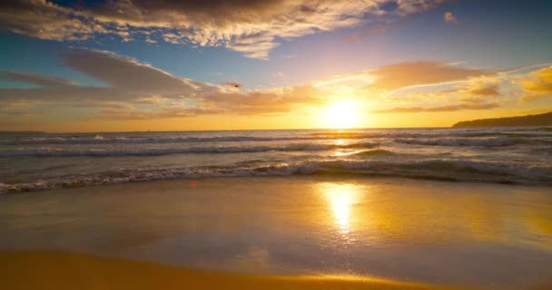 Oceano Spiaggia Alba Video Rallentatore — Video Stock