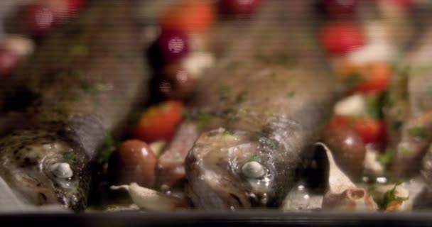 Fhd Videosuyla Taze Balık Yemeği Pişiriyorum Baharatlı Bitki Sebzeler Sağlıklı — Stok video