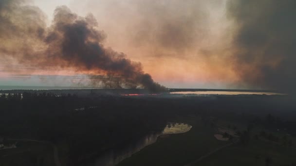 Fuego Ardiente Selva Tropical Helicóptero Rescate Recoge Agua Mar Vuela — Vídeos de Stock