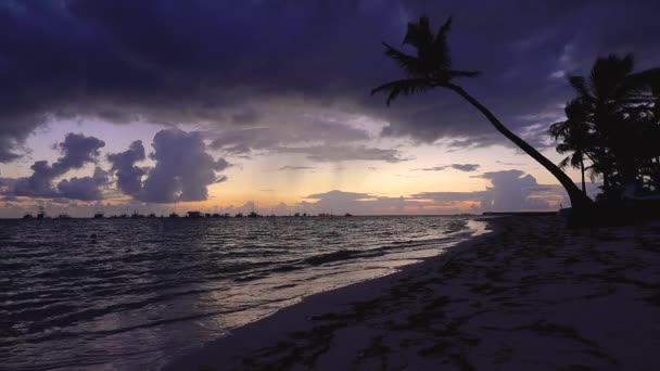 Nascer Sol Praia Oceano Palmeiras Ilha Tropical Com Palmeiras Silhuetas — Vídeo de Stock