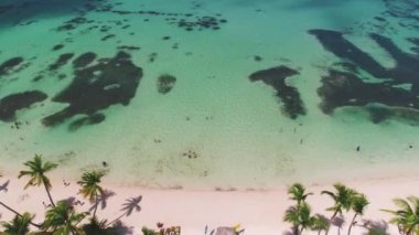 Punta Cana sahil beldesinin, palmiye ağaçlarının ve turkuaz Karayip denizinin havadan 4K videosu. Dominik Cumhuriyeti 'nde Tropikal Kaçış