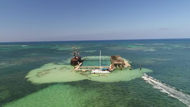 Dolphin Pool Island Park Sea Water Aerial View Video — Stock Video