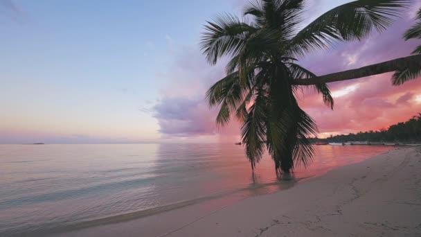 Východ Slunce Nad Pláží Tropických Ostrovů Palem Punta Cana Dominikánská — Stock video