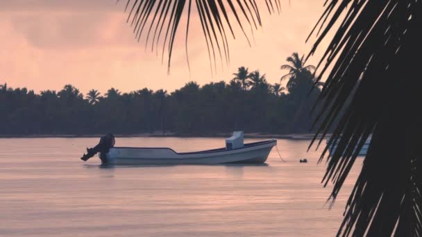 カリブ海の海の水でスピードモータボート ドミニカ共和国 — ストック動画