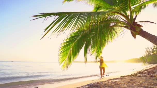 Východ Slunce Nad Pláží Tropických Ostrovů Palem Punta Cana Dominikánská — Stock video