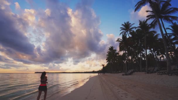 太阳升起在热带岛屿海滩和棕榈树上 多米尼加共和国Punta Cana — 图库视频影像