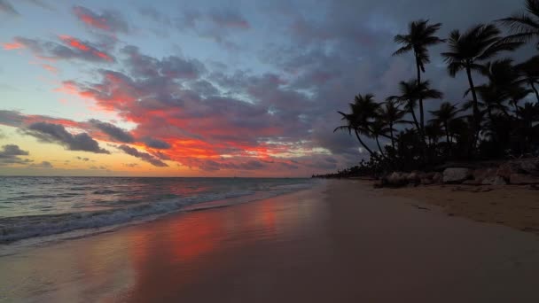 Tropik Ada Plajları Palmiye Ağaçları Üzerinde Gün Doğumu Egzotik Sahil — Stok video