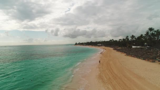 Vista Aérea Paradisíaca Playa Tropical Video Palmeras Olas Marinas — Vídeos de Stock