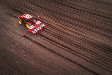 Traktördeki çiftçi gelecek yıl için fidelerle tarım arazisi hazırlıyor.
