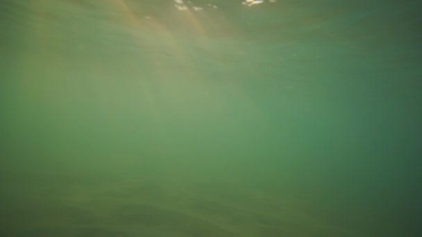 Vue Sous Marine Des Vagues Océaniques Des Rayons Soleil Brillants — Video