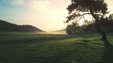 Güneş bulutların ve sislerin arasından parlıyor, dağların üzerinden ve ağaçların üzerinden, 4k video