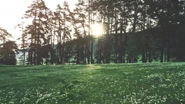 Paysage Montagne Lever Soleil Sur Forêt Les Champs Verts Vidéo — Video