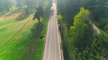 Dağ yolu, hava orman manzarası 4k video.