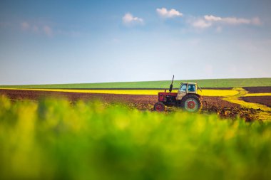 Tarlaları süren traktör, tarım arazisi.