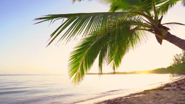 Wschód Słońca Nad Tropikalną Plażą Palmami Punta Cana Dominikana — Wideo stockowe