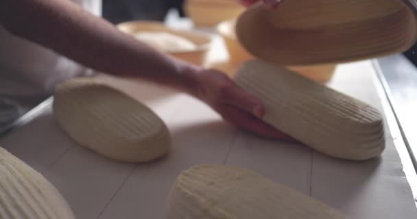 Chleb Kwaśny Jest Podniesiony Gotowy Pieczenia Piekarniku Piekarz Robi Bułeczki — Wideo stockowe