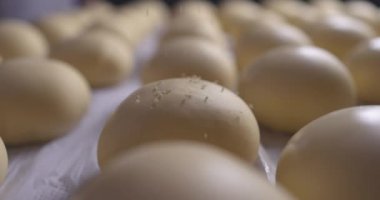 Fırında fırın için ekmek ekmeği. Düşen susam tohumları. Ekmek pişirmeye hazır, 4K görüntü.