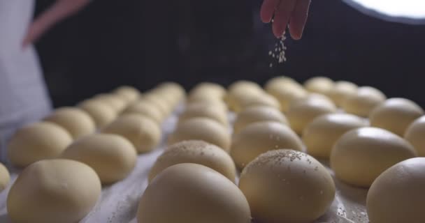 Chlebové Bochánky Pekárny Zblízka Pekař Prosívá Sezamová Semínka Kyselý Chléb — Stock video
