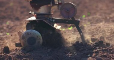 Makineli bir çiftçi sebze bahçesindeki toprağı kazıyor. 