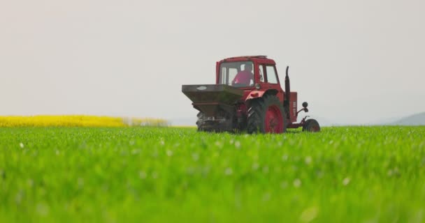 Трактор Запліднення Польових Умовах Фермер Обприскування Пестицидами Молодих Рослин Полі — стокове відео