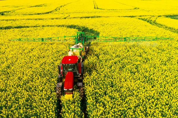Tarım Traktörü Tarlayı Sürüyor Kolza Tarlasına Püskürtüyor — Stok fotoğraf