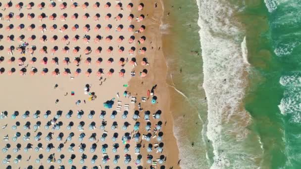 Oceano Spiaggia Con Persone Ombrelloni Colorati Onde Vista Aerea Video — Video Stock