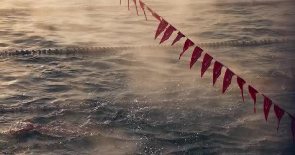 Natation Dans Formation Piscine Matin Vidéo Ralenti — Video