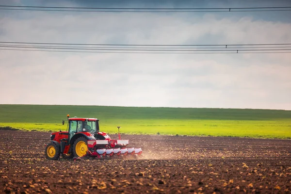 Agricultor Trator Preparando Terras Agrícolas Com Mudas Para Próximo Ano — Fotografia de Stock